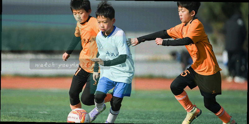 历史交锋数据示意图，显示两队近5次交手的结果